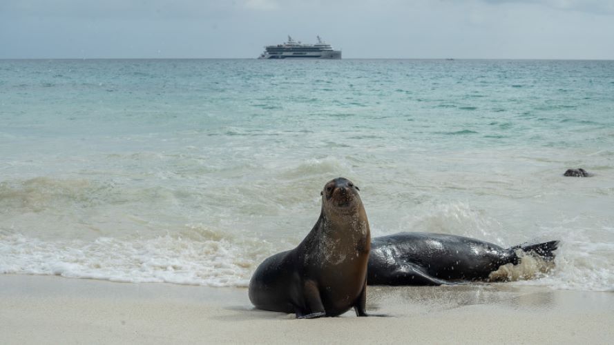 JBCruises Special Offers and Deals